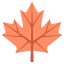 :maple_leaf: 🍁